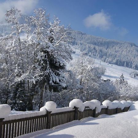Alpbach Loft Lägenhet Exteriör bild