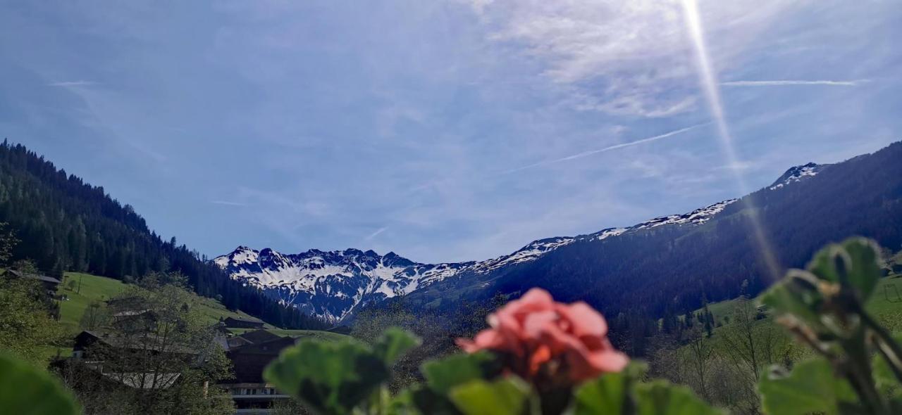 Alpbach Loft Lägenhet Exteriör bild