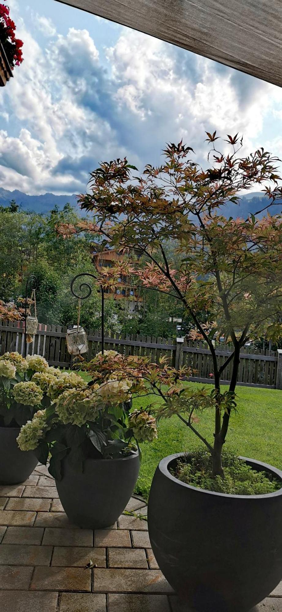 Alpbach Loft Lägenhet Exteriör bild